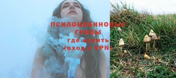 соль курить ск Богородск
