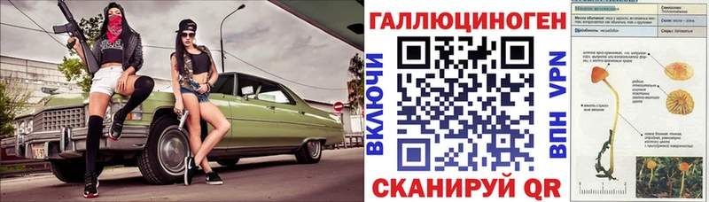 Галлюциногенные грибы Psilocybine cubensis  купить наркотики сайты  Верещагино 